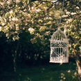 thumbnail image 6 of 2 Pack Hanging Chain for Bird Feeders, Planters, Lanterns and OrnamentsC, 6 of 6