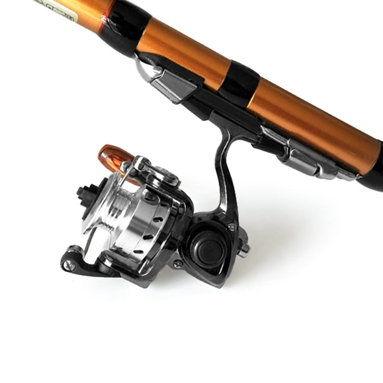 3BB 4.3:1 Mini Spinning Reel Ultralight All Metal Freshwater Saltwater Carp Fishing Reel Gold