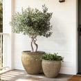 thumbnail image 5 of LuxenHome Weathered Earthstone Green Round Planter, 12.4" Round, Textured Concrete Pot, 5 of 8