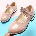 thumbnail image 4 of breaise Girls Dress Shoes Wedding Party Heel Mary Jane Princess Flower Shoes, 4 of 10