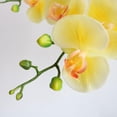 thumbnail image 5 of CoreLiving Faux Anthurium Style Butterfly Orchid 1-Piece Real Touch Branch Yellow Artificial Silk Flower for Home Office Wedding and Festive Interior Decorating, 5 of 5