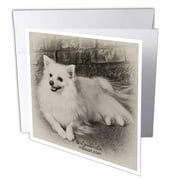 3dRose American Eskimo Dog, Greeting Cards, 6 x 6 inches, set of 12