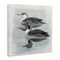 thumbnail image 4 of Stupell Industries Twin Loons in Water Animals Painting Wrapped Canvas Art Print Wall Art, 30 x 30, 4 of 8