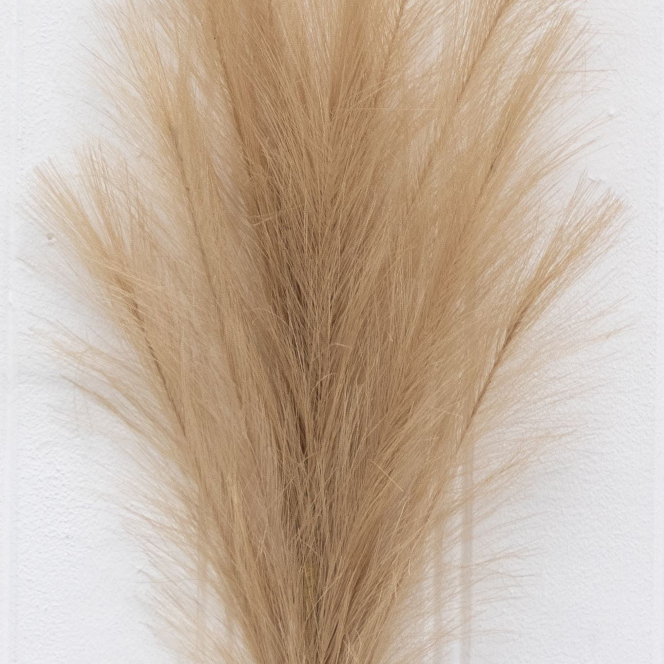 Better Homes & Gardens 34"H Artificial Indoor Pampas Feathered Stem