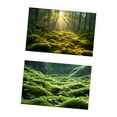 thumbnail image 2 of Miulika Fond Photo pour Livres Magazines Fleurs Commerciales, 2 of 9