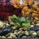 thumbnail image 4 of EeaseMX 5 esculturas en forma de rana para decoración de micropaisaje, adornos de ranas en miniatura, 4 of 8