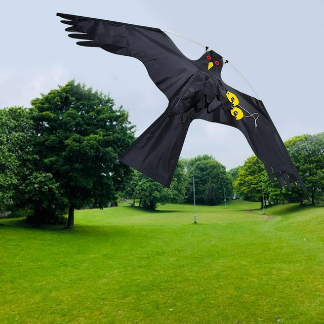 DYNWAVECA 2x Grand Aigle Volant Effrayant Leurre de Pigeon