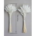 thumbnail image 2 of 120 Sticks Dried Bunny Tail, White Bunny Tail, Natural Bulk Dried Flowers for Diy Bohemian Wedding Rustic Party Decorations, Home Vase Decorations, Wreaths, Birthday Cake Decorations.(White), 2 of 11
