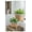 Brown Multi Cement, variant on Set of 2 6.5x6.5x6" Brown Cement Planter with Woven Tassel Accent