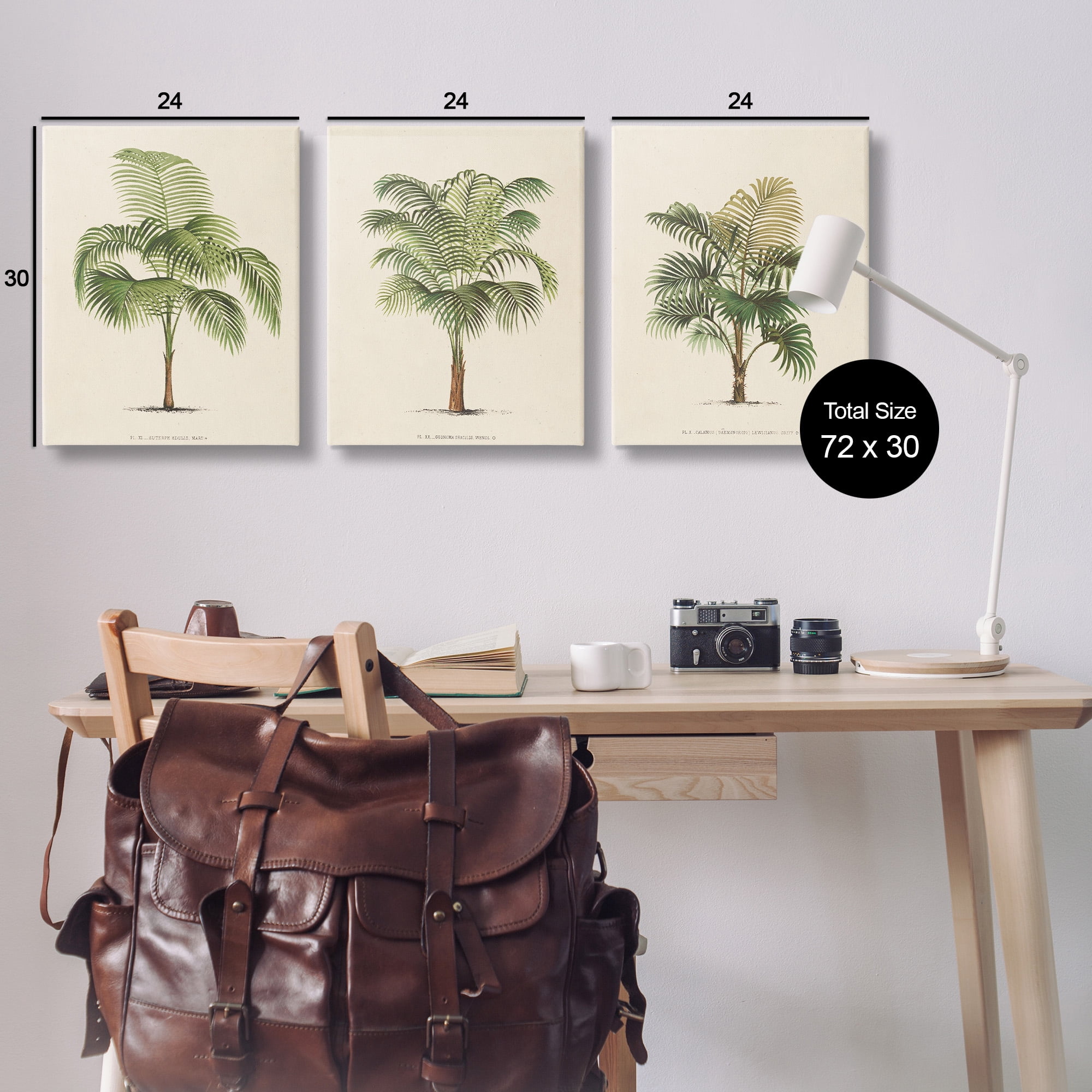 Stupell Industries Les Palmiers Botanical Trio Botanical & Floral Painting Gallery Wrapped Canvas Art Print Wall Art, 24 x 30, Set of 3