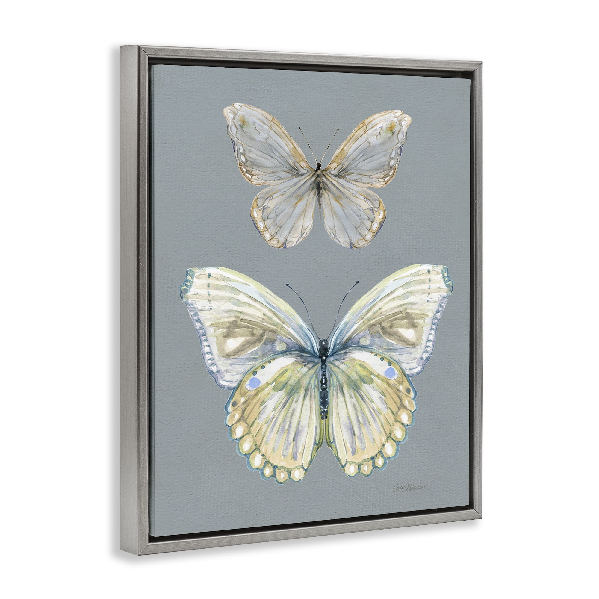 Stupell Industries Butterfly Pair Study Gray Framed Floater Canvas Wall Art, design by Carol Robinson