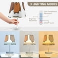 thumbnail image 5 of Cartoon Owls Desk Lamp 3 Color Modes LED Table Lamp Nightstand Reading Light for Bedroom Living Room, 5 of 8
