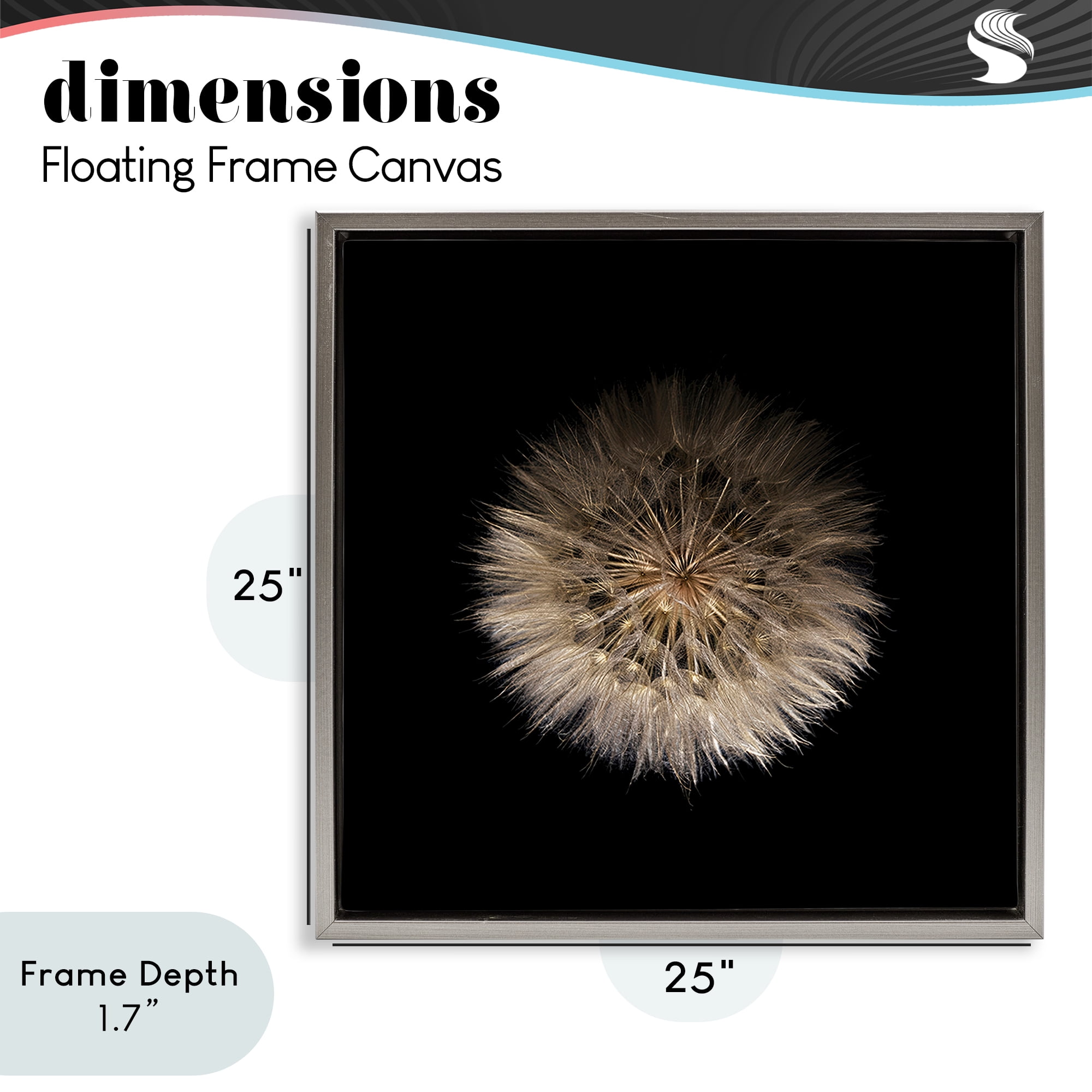 Stupell Industries Wispy Dandelion on Black Gray Framed Floater Canvas Wall Art, design by Beth Adoette