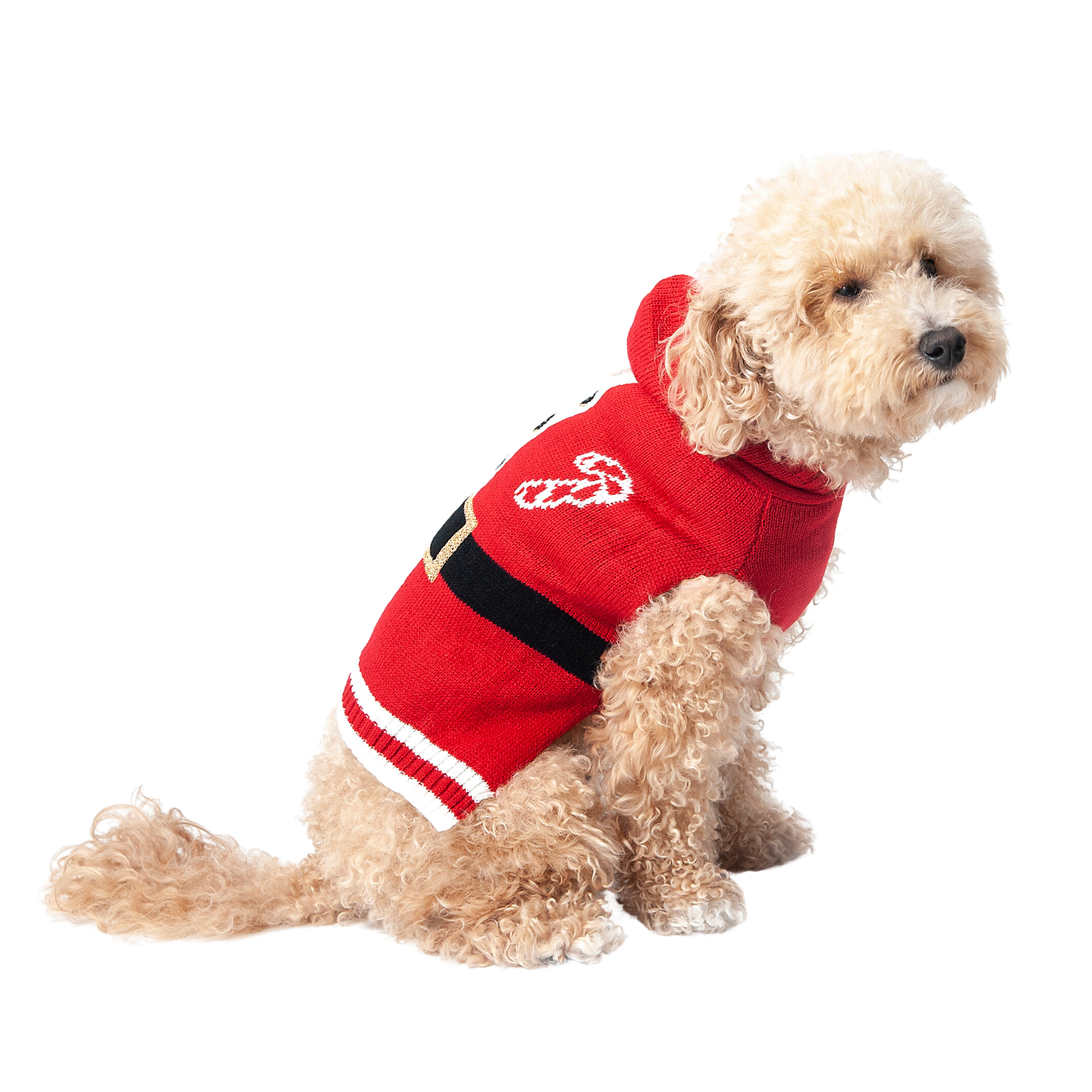 Vibrant Life Holiday Dog Clothes Red Santa with Hoodie Sweater, Large