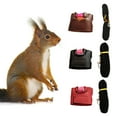 thumbnail image 7 of Mosey Lovely Squirrel Leash Heavy-duty   for Training   Easy Control, 7 of 7
