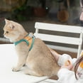 thumbnail image 4 of Billuyoard Arnés para gatos con reflejo nocturno para una tracción segura Juego de correa y arnés para gatos Arnés para gatitos Suministros para gatos naranja azul METRO, 4 of 6