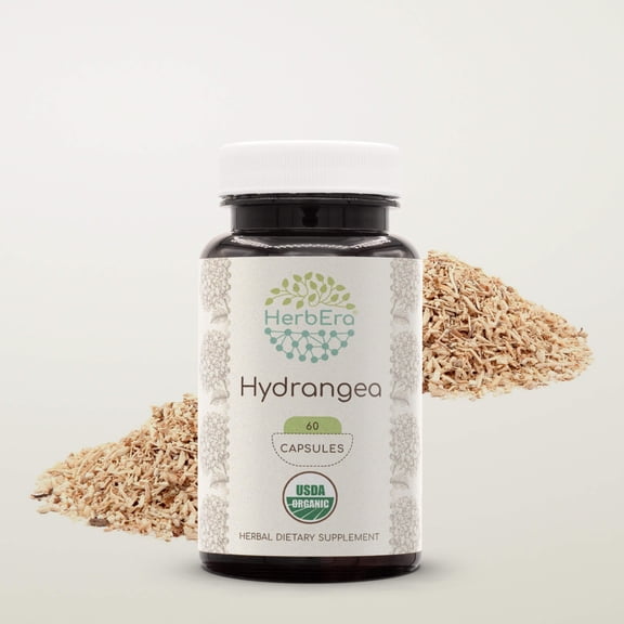 HerbEra Hydrangea Capsules, Organic Herbal Dietary Supplement for Urinary Tract Support, Certified Organic Hydrangea (Hydrangea arborescens) Dried Root Capsules, Natural, 60 Capsules