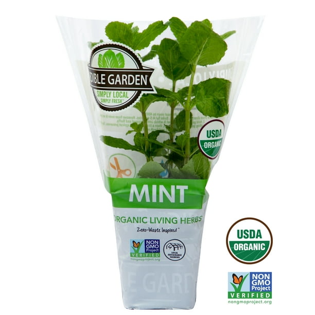 Organic Mint Live Plant 1 Ea Walmart Com Walmart Com