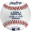 Rawlings 5-Tool Training Pitching Machine Baseball, Fielding Trainers