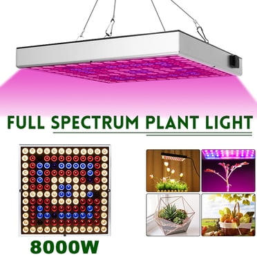 Miracle LED Clamp-On Grow Light Kit - Full Spectrum Daylight With Red & Blue For Indoor Plants