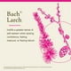 thumbnail image 3 of Bach Flower Essences  Larch | Alerce 20 ml (0,7 oz. líq.), 3 of 6