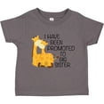 thumbnail image 3 of Inktastic I Have Been Promoted to Big Sister Girls Toddler T-Shirt, 3 of 5