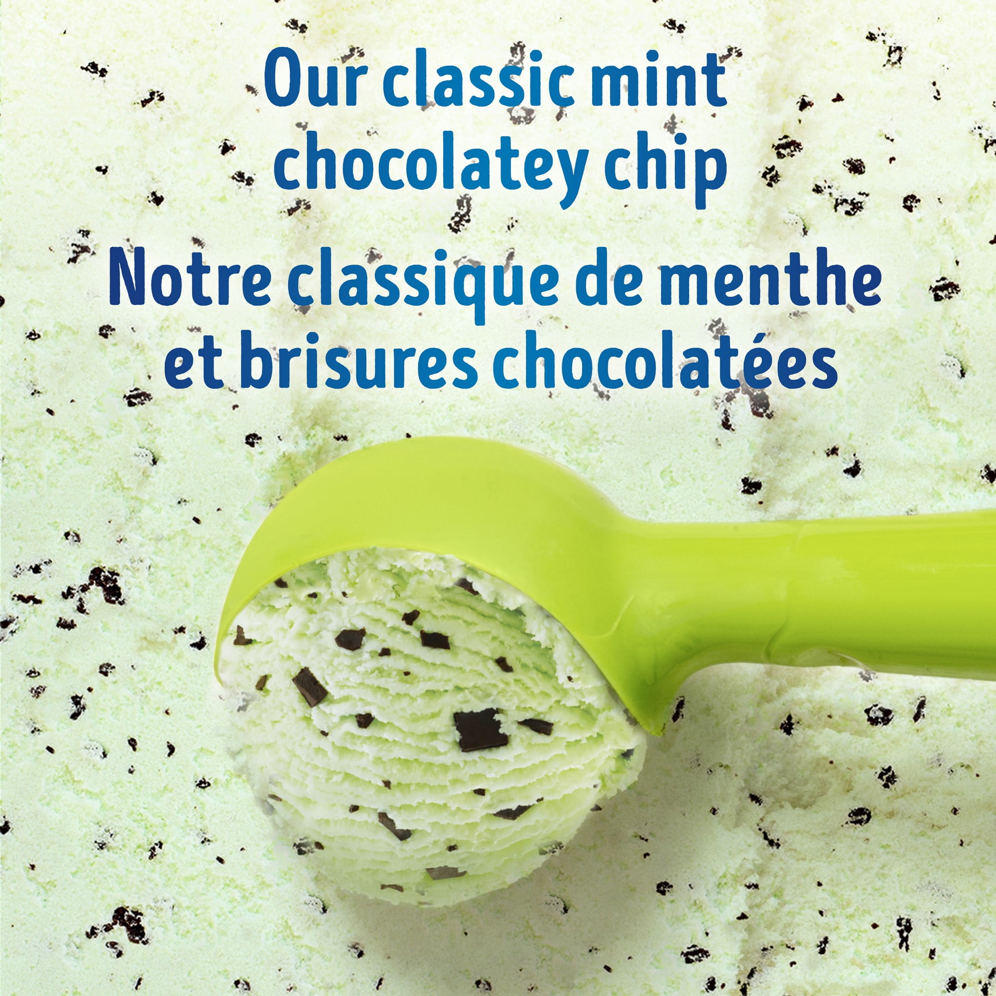 Dessert Glacé Breyers Classique Familial Menthe et Brisures Chocolatées