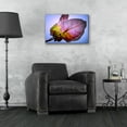 thumbnail image 4 of Epic Art 'Bougainvillea Leaf' by Pamela Plummer, Acrylic Glass Wall Art, 24"x16", 4 of 8