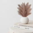 thumbnail image 4 of [CLEARANCE]Simulation Reed Pampas Grass Faux Pampas Grass Artificial Dried Pompas Grass, 4 of 6