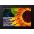 thumbnail image 2 of Susan Vizvary Photography 18x13 Black Modern Framed Museum Art Print Titled - Single Sunflower, 2 of 5