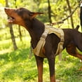 thumbnail image 7 of Charkool Dog Harness, No Pull Dog Harness for Small Dogs, Heavy Duty Pet Harness with Handle, Adjustable Easy on Pet Harness for Running Walking, Khaki S, 7 of 7