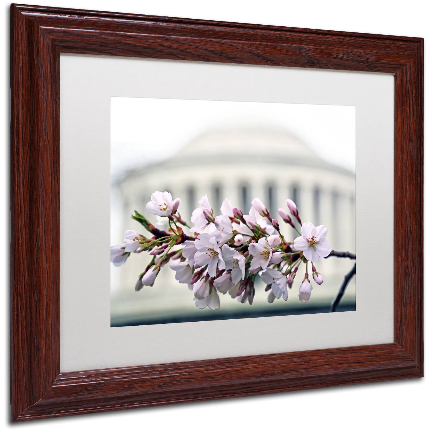 Trademark Fine Art "Jefferson Memorial Blossoms" Canvas Art by CATeyes, White Matte, Wood Frame