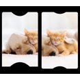 thumbnail image 5 of The Puppies & Kittens Cover Cards, 5 of 5