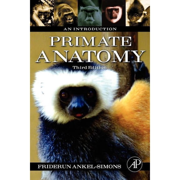 Primate Anatomy: An Introduction, (Paperback)