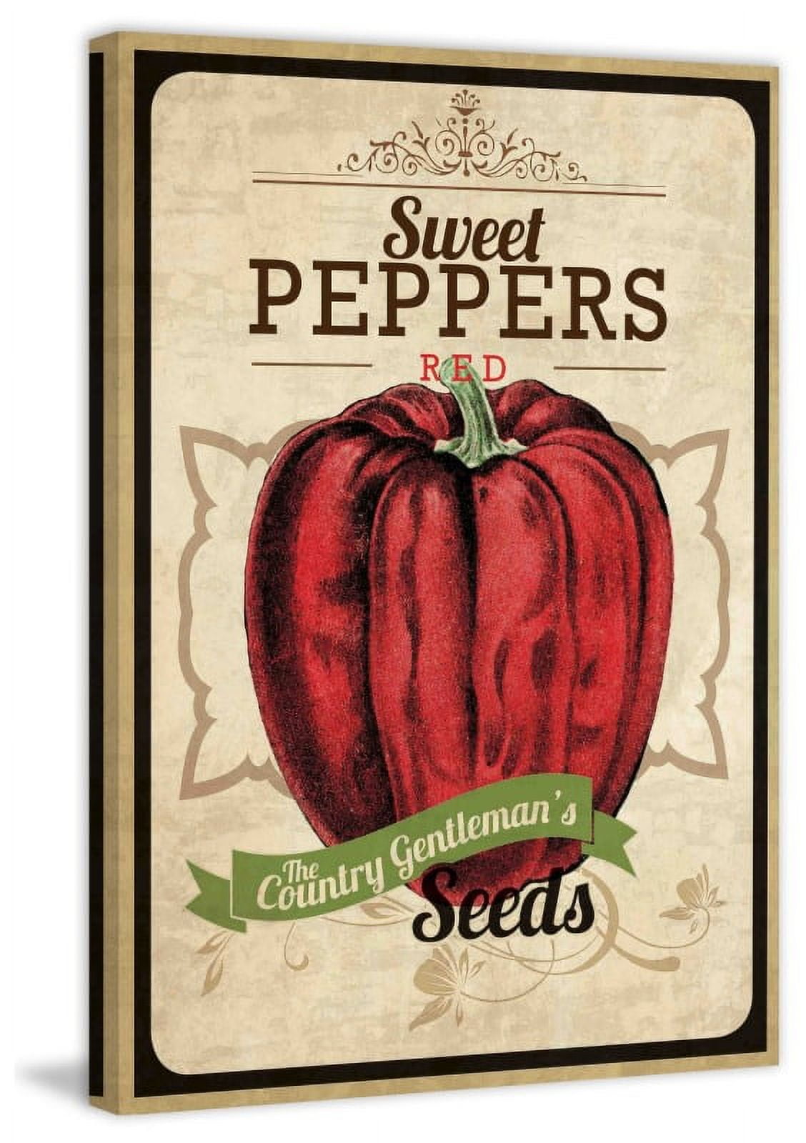 Marmont Hill "Seed Packet Pepper" Painting Print on Canvas