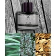 thumbnail image 3 of Dark Woods by Joseph Abboud, 3.4 oz EDP Spray for Men, 3 of 5