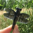 thumbnail image 5 of Crystland Mixed Material Carving Dragonfly Art Decoration Ornament Healing Gift 10pcs, 5 of 7