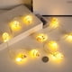 thumbnail image 3 of Cadena de Luces con Temática Playera, Conchas y Caracolas LED, Luces Decorativas, y Luces Ambientales, 3 of 5