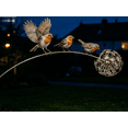 thumbnail image 3 of 2PC Robin Garden Stake, 3 Robin Birds and Dandelion Design, Outdoor Yard Art Stake for Lawn Patio Flower Bed Walkway, 3 of 13