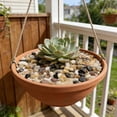 thumbnail image 2 of Succulent Rocks, 6-9mm Colorful Polished Pebbles for Indoor Plants, 350g Decorative River Rocks for Plants Indoor, Vase Fillers, Cactus Planters, Bird Bath, Fountain, Outdoor Garden Landscaping, 2 of 9