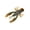 Crawdad, variant on Yum Crawbug