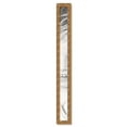 thumbnail image 2 of ArtToFrames 4" x 51" Gold Panel Picture Frame, 4x51 inch Multi Wood Poster Frame (WOM-5091),  Pack, 2 of 7