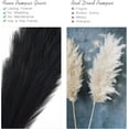 thumbnail image 5 of 4 Pcs Large Artificial Pampas Grass, 45 Inch Black Fake Pampas Grass Soft Fluffy Dried Flowers Decor for Tall Floor Vases Decoration Rustic Wedding Arrangement Boho Home Decor, 5 of 8