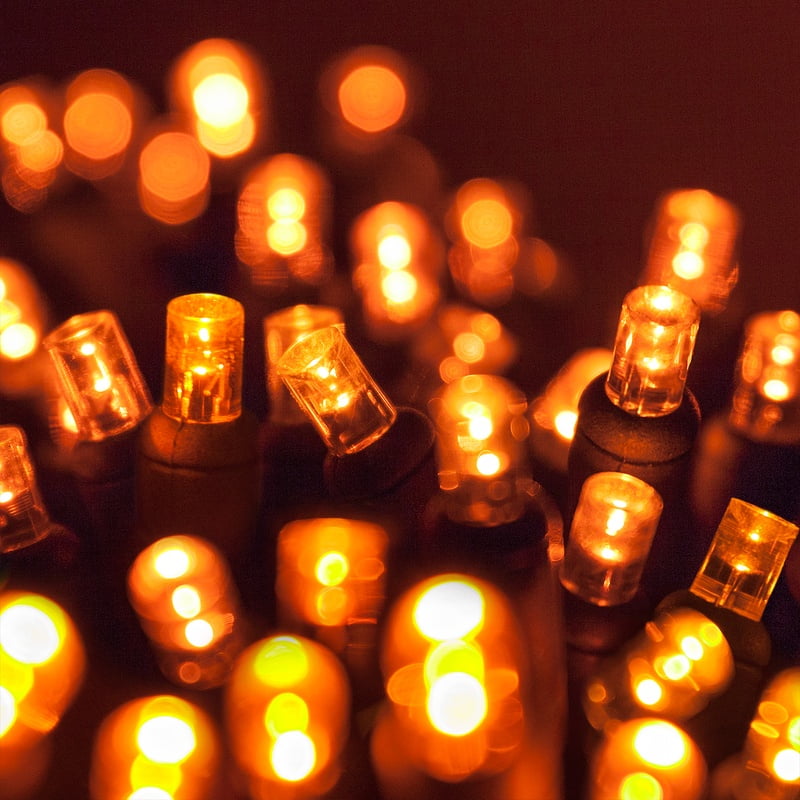 Details about   WAY TO CELEBRATE Holiday Orange/Yellow In/Outdoor 70 Mini Lights w/ Twinkle 