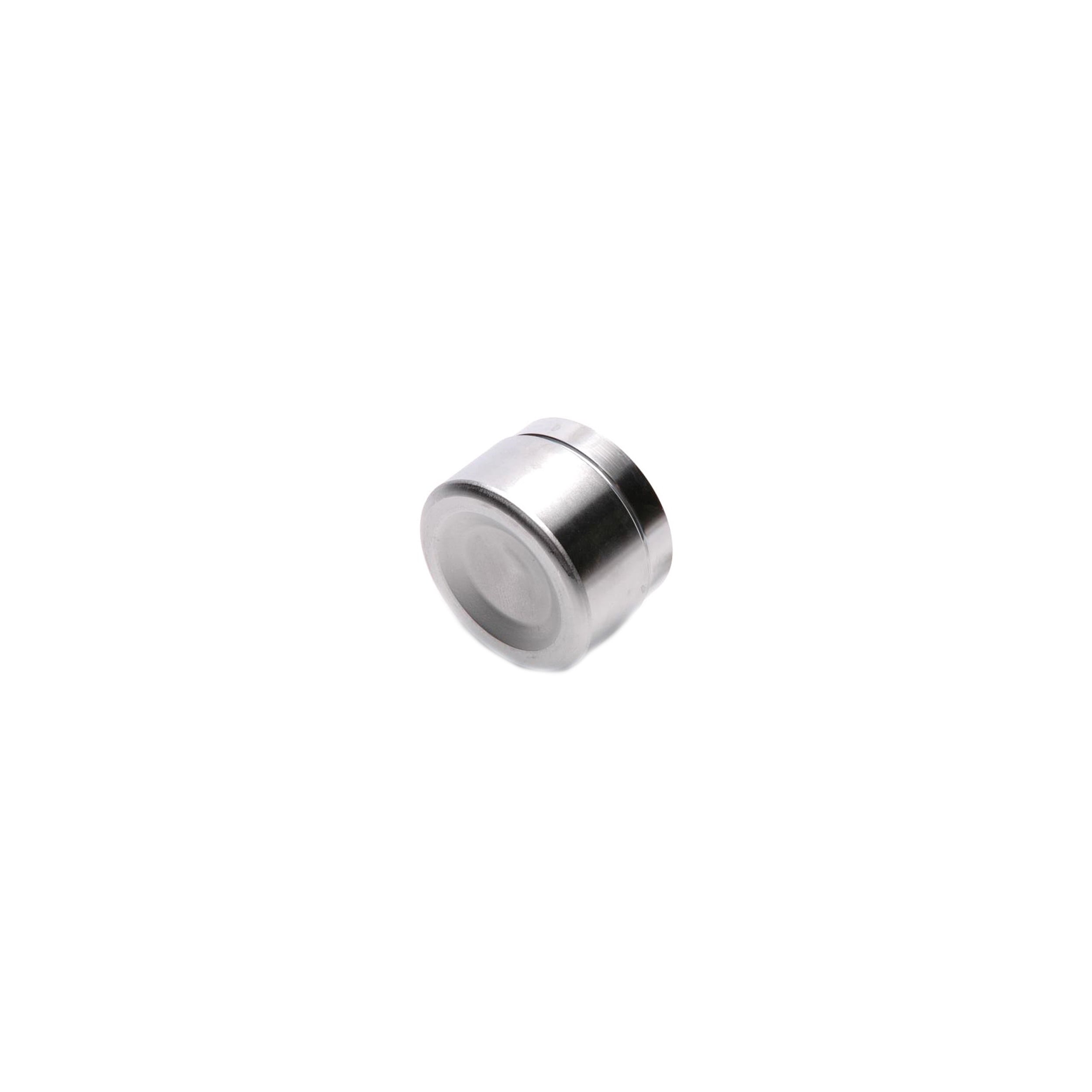 Raybestos R-Line Disc Brake Caliper Pistons Fits select: 1979-1985 CHEVROLET C30, 1987 CHEVROLET V20