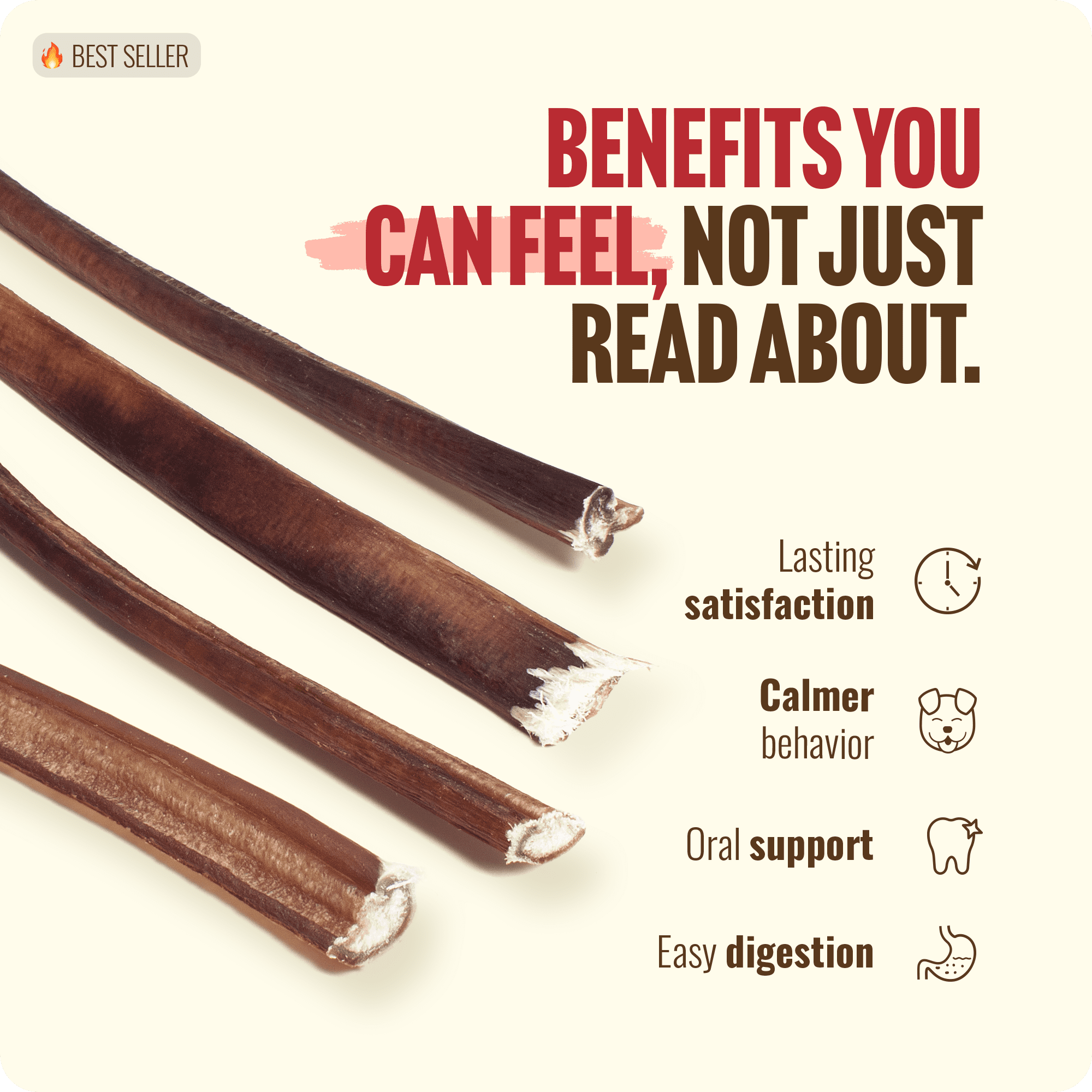 Natural Farm Odor-Free Thin Bully Sticks (12”, 25-Pack) All-Natural Long-Lasting Dog Chews, 100% Beef Pizzle, Grass-Fed, Grain-Free, Protein for Muscle Development & Energy, Perfect for Large Dogs