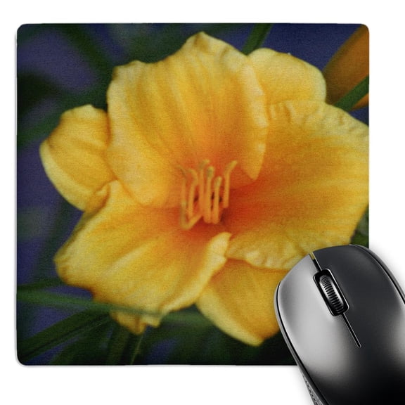 3dRose, Day Lily, MousePad