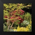 thumbnail image 2 of Crane, Rita 12x12 Black Modern Framed Museum Art Print Titled - Garden Tapestry II, 2 of 5