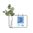 thumbnail image 1 of Jarrones colgantes de vidrio transparente Decoración Botella, 1 of 4