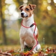 thumbnail image 4 of AURARMLET Dog Walking Leash Weatherproof Nylon for Pet Training Jogging Hiking Reflective Safety Red, 4 of 7